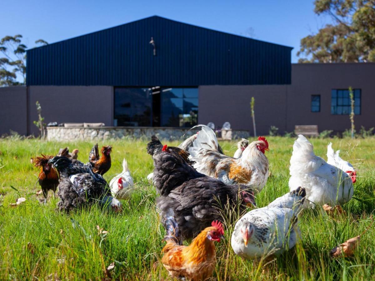 Rivergate Guest Farm ستانفورد المظهر الخارجي الصورة