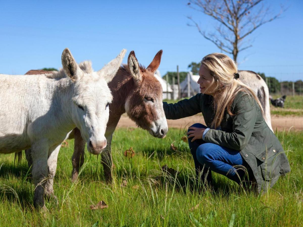 Rivergate Guest Farm ستانفورد المظهر الخارجي الصورة