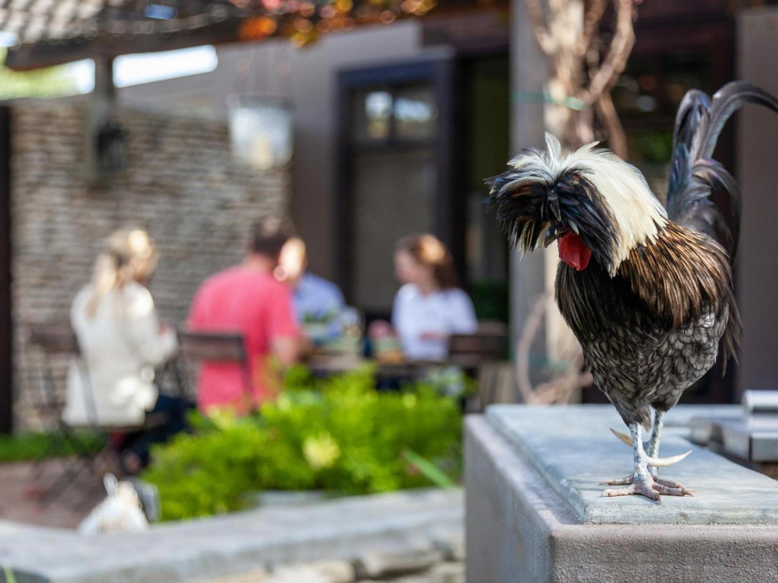 Rivergate Guest Farm ستانفورد المظهر الخارجي الصورة