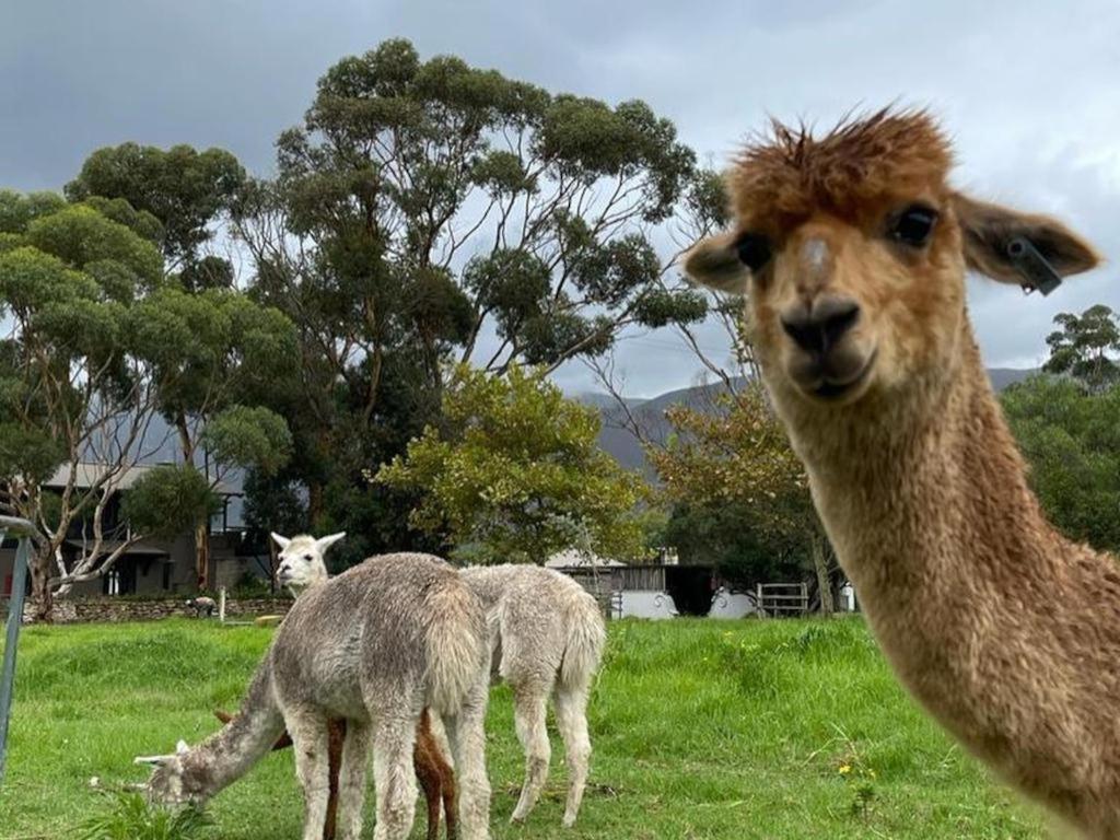 Rivergate Guest Farm ستانفورد المظهر الخارجي الصورة