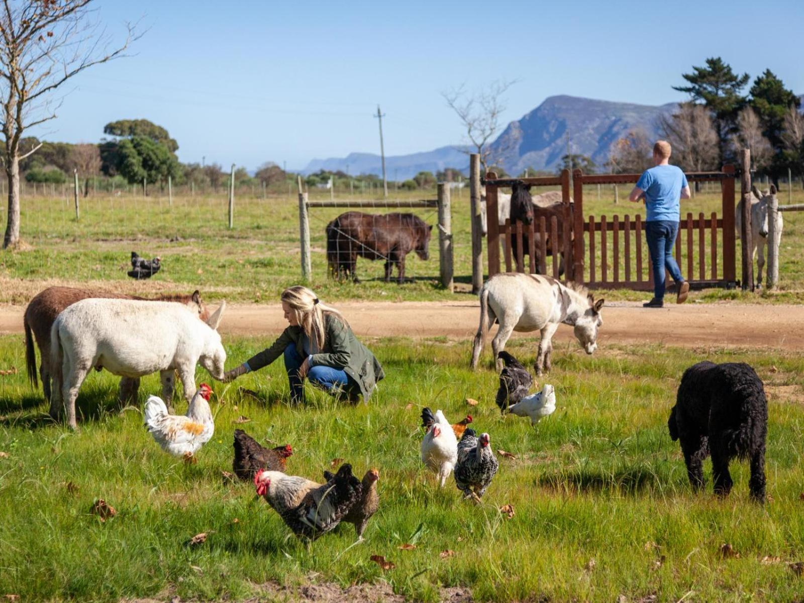 Rivergate Guest Farm ستانفورد المظهر الخارجي الصورة